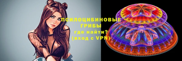 мяу мяу мука Абинск
