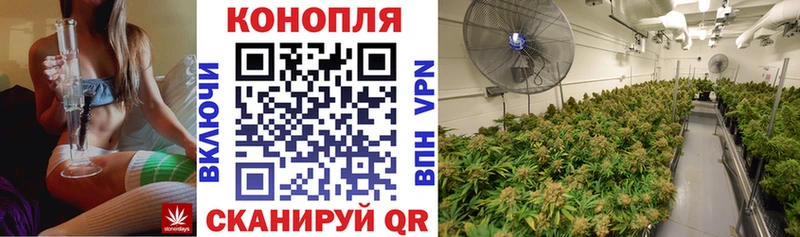 где можно купить наркотик  Артём  Конопля THC 21% 